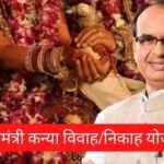 WhatsApp Image 2023 02 09 at 5.30.42 PM