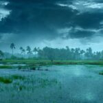 monsoon