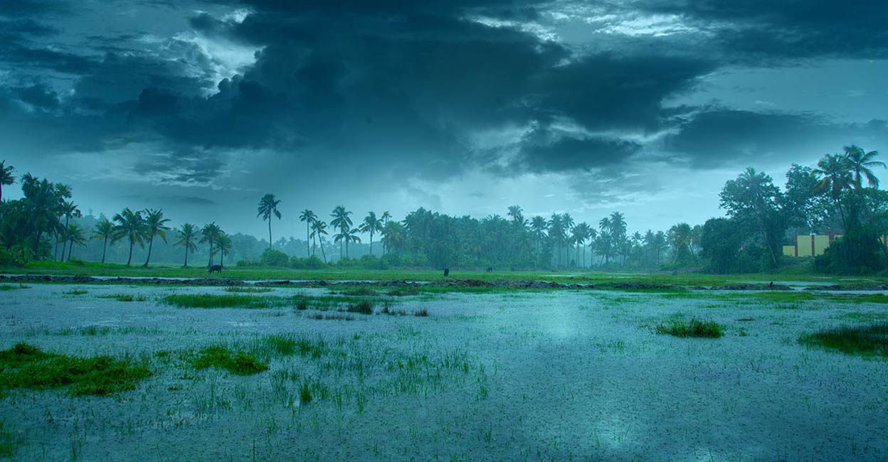 monsoon