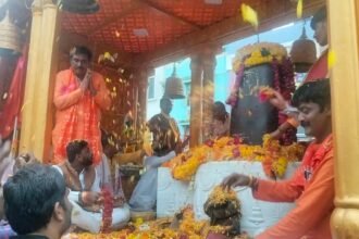 WhatsApp Image 2023 08 18 at 73518 PM 2