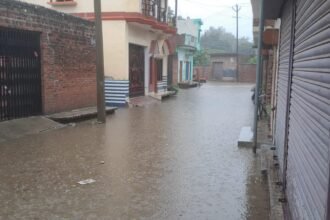 WhatsApp Image 2023 08 22 at 43231 PM