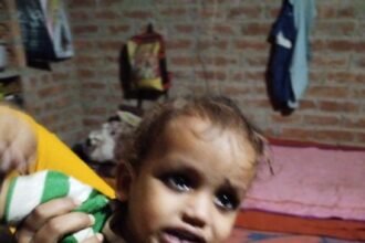 dogs ने लोगों को किया घायल