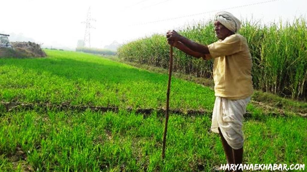 कुरुक्षेत्र किसानों ने करवाया पंजीकरण