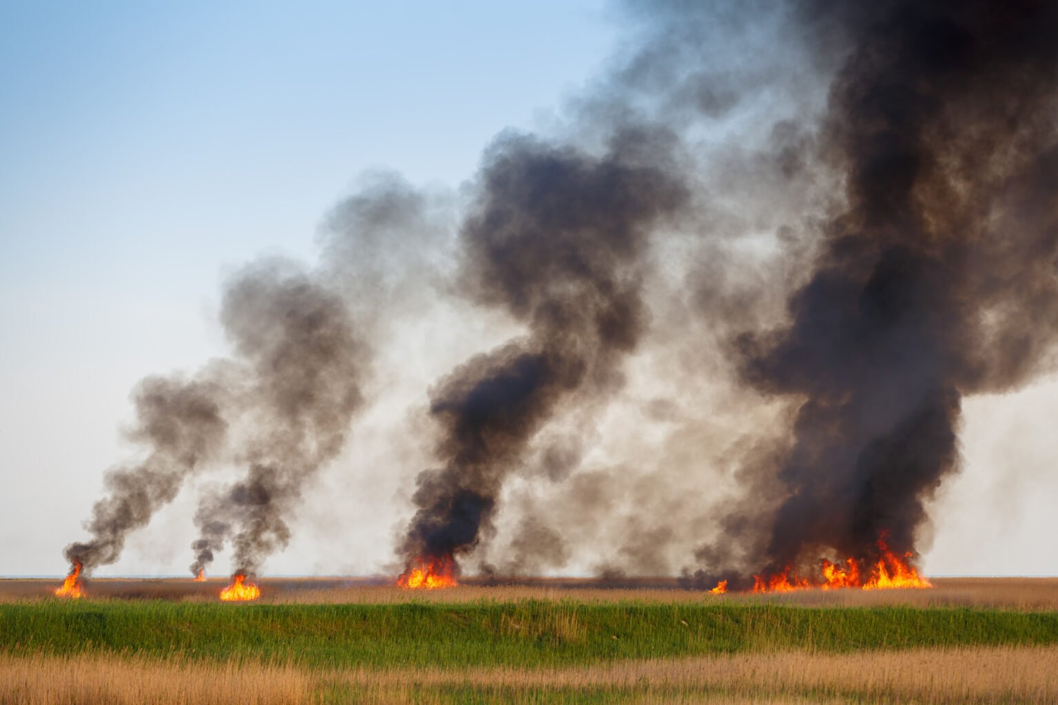BioMass Burning