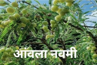 आंवला नवमी