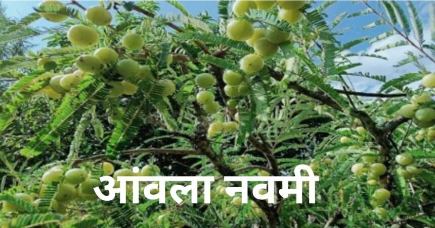 आंवला नवमी