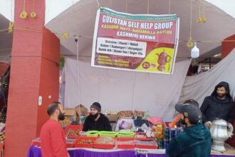 Kashmir के खान-पान वाली वस्तु का स्टॉल