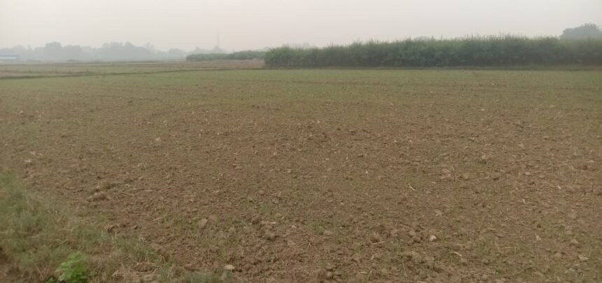 बेमौसम की बारिश ने बढ़ाई फजीहत,Farmer के माथे पर चिंता की लकीरें 1 Farmer के माथे पर चिंता