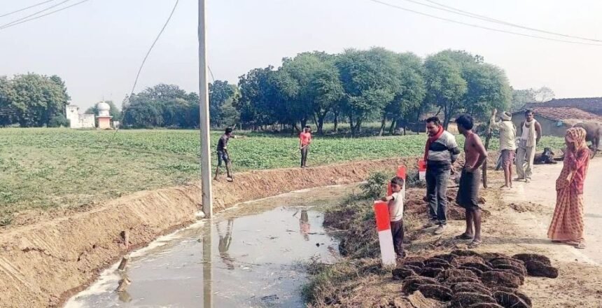 Extinct Canal comes alive