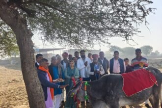 Shitala Mata Sheobai Devi Kamdhenu Gaushala