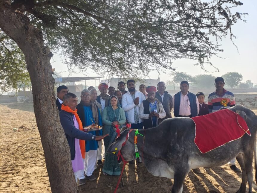 Shitala Mata Sheobai Devi Kamdhenu Gaushala