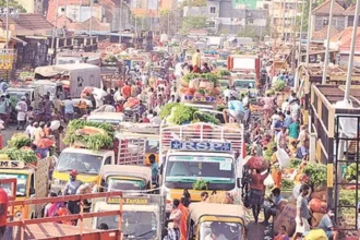 Vegetable Market