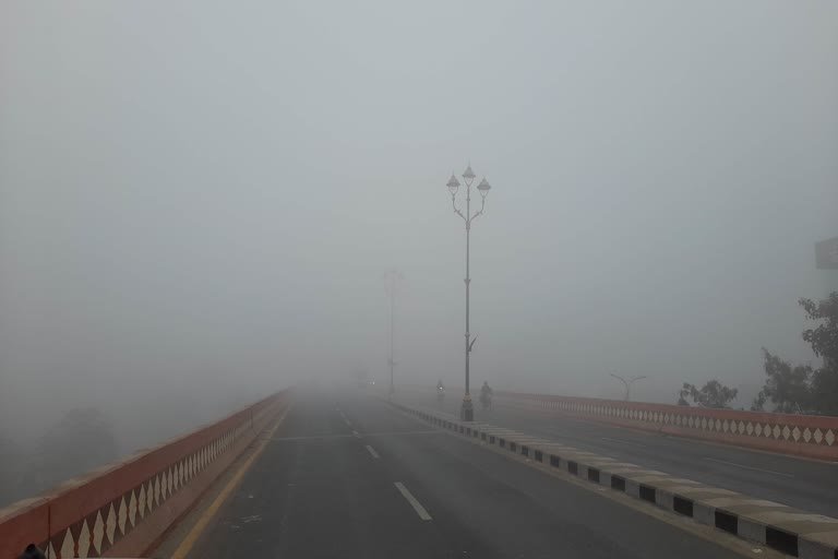 Cold and Dense Fog से जनजीवन रहा अस्तव्यस्त 2 Cold and Dense Fog से जनजीवन रहा अस्तव्यस्त