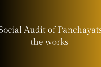Social Audit
