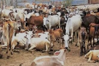 Mau Block में भरण-पोषण का पैसा न मिलने पर आक्रोश