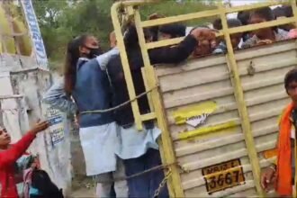 Camp का आयोजन जवाहरलाल नेहरू शासकीय महाविद्यालय बड़वाह में