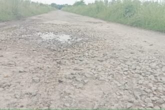 Passersby(राहगीरों) के लिए मुसीबत बने सड़क के गड्ढे