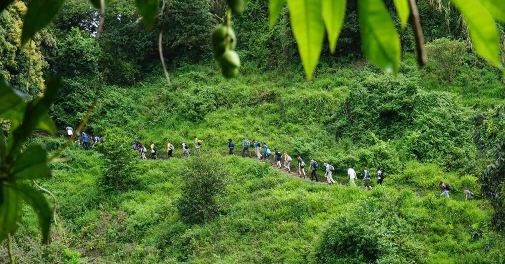 भारत अब बना Tourism (पर्यटन) का केंद्र 4 पर्यावरण के संरक्षण के साथ पर्यावरण Tourism शुरु करने जा रही है