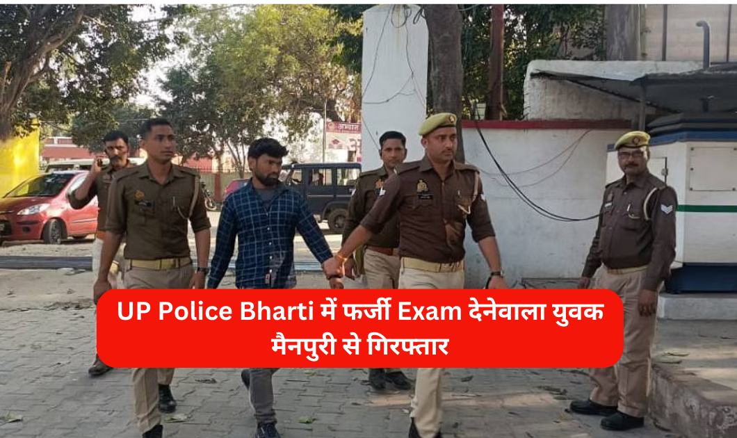 आलू की शुरूआत कहाँ और कैसे हुई 4