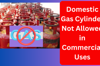 Domestic Gas Cylinder seized for commercial use