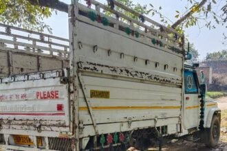 IMG 20240206 WA0067 e1707301886245