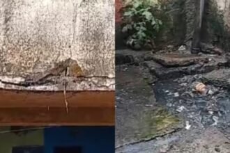 IMG 20240212 WA0020 e1707913161800