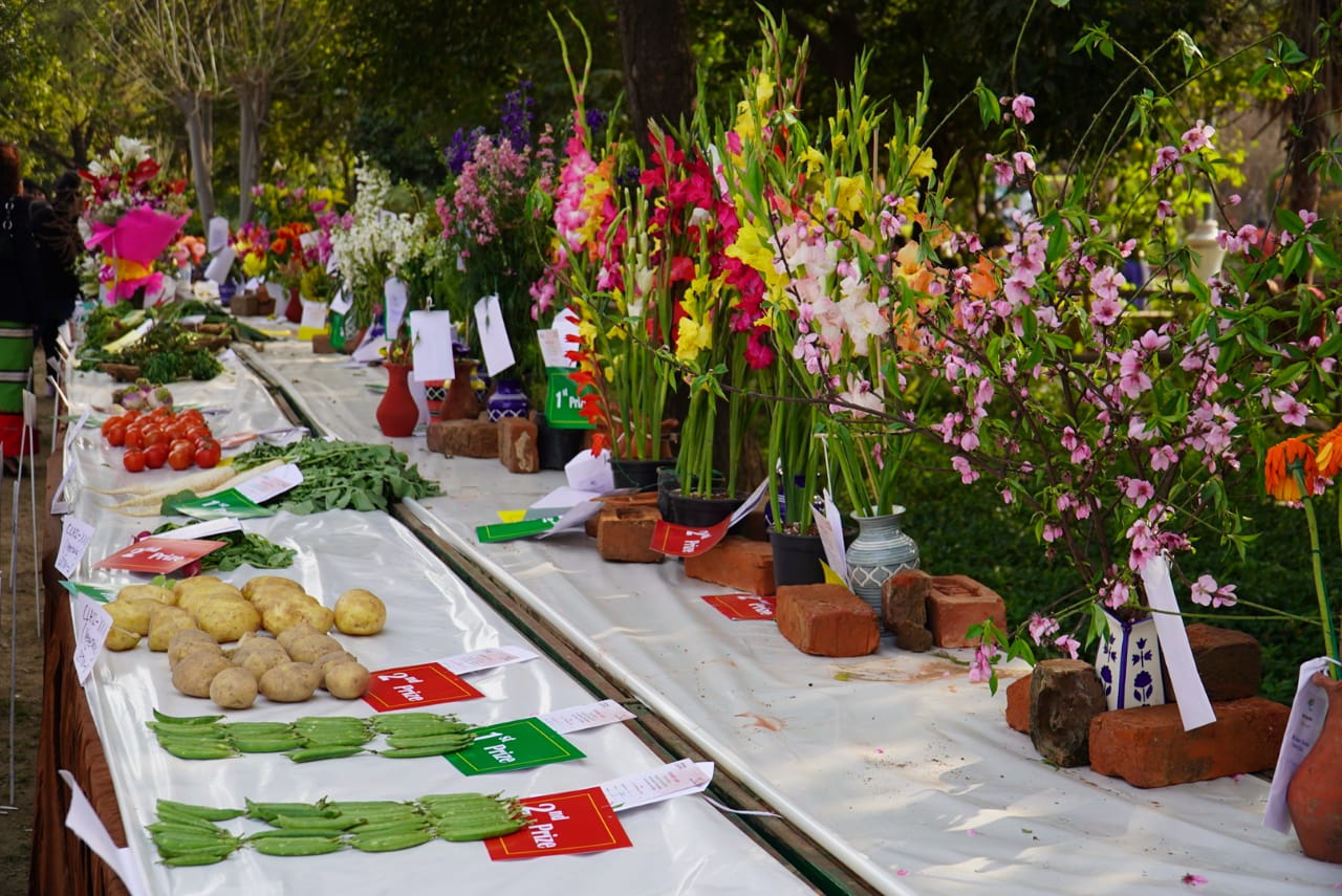 पर्यटन विभाग द्वारा दिल्ली में 36th Garden Tourism Festival का आयोजन 6 पर्यटन विभाग द्वारा दिल्ली में 36th Garden Tourism Festival का आयोजन