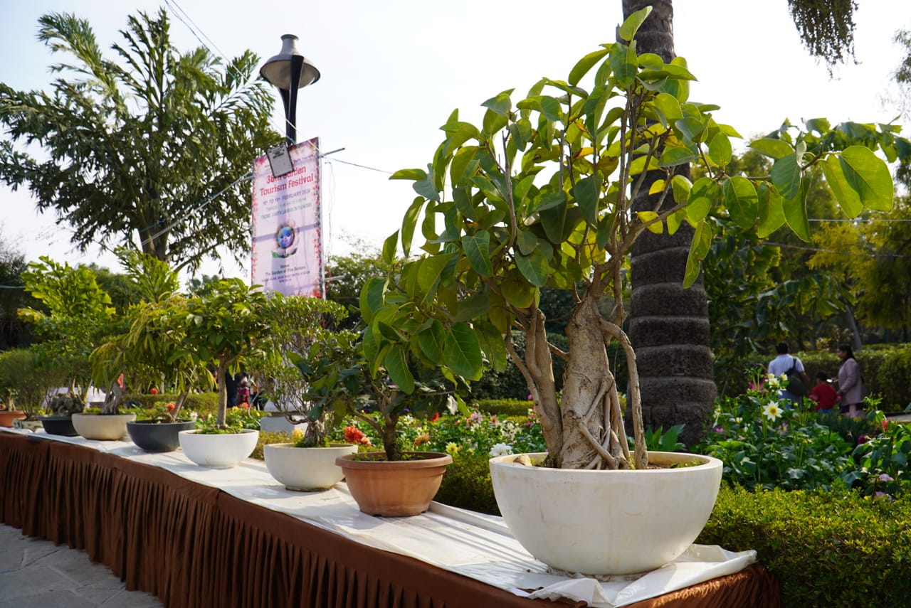पर्यटन विभाग द्वारा दिल्ली में 36th Garden Tourism Festival का आयोजन 3 पर्यटन विभाग द्वारा दिल्ली में 36th Garden Tourism Festival का आयोजन