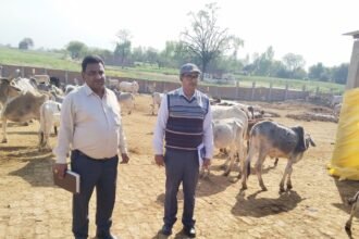 निदेशक Anand Kumar ने पशु चिकित्सालय सहित गोशालाओं का औचक निरीक्षण किया