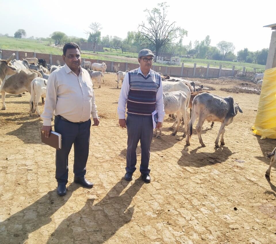 निदेशक Anand Kumar ने पशु चिकित्सालय सहित गोशालाओं का औचक निरीक्षण किया