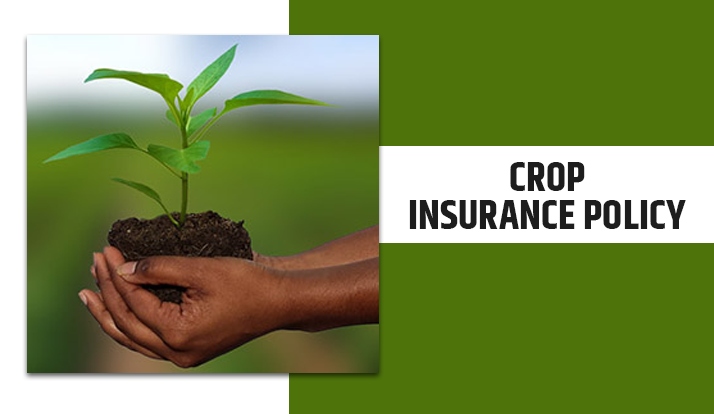 Crop Insurance Policy का वितरण जिला प्रमुख द्वारा किया