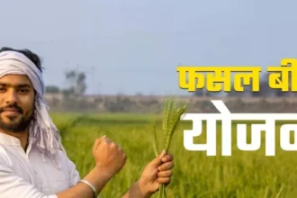 Farmers से फसल बीमा राशि लेकर बीमा कम्पनियों की संपूर्ण जानकारी दे बैंक