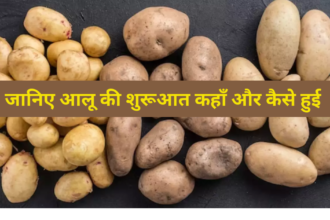 क्या आप जानते है? आलू की खेती सबसे कहाँ शुरू हई- Dr. Singh