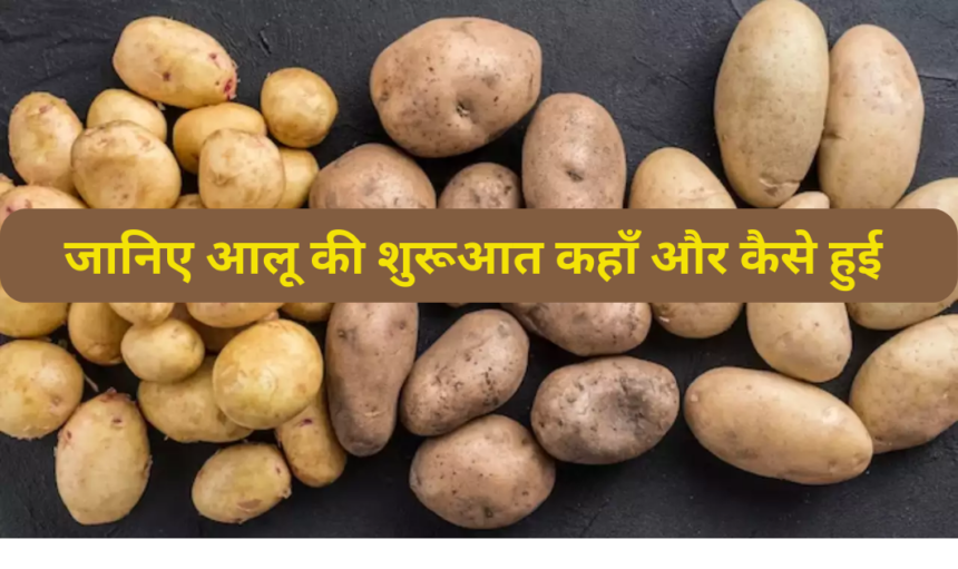 क्या आप जानते है? आलू की खेती सबसे पहले कहाँ शुरू हई- Dr. Singh 1 क्या आप जानते है? आलू की खेती सबसे कहाँ शुरू हई- Dr. Singh