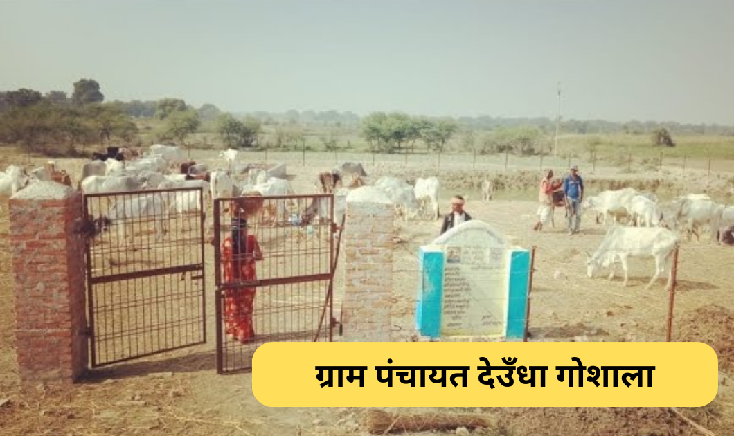 निदेशक Anand Kumar ने पशु चिकित्सालय सहित गोशालाओं का औचक निरीक्षण किया 