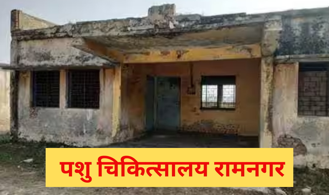  निदेशक Anand Kumar ने पशु चिकित्सालय सहित गोशालाओं का औचक निरीक्षण किया 