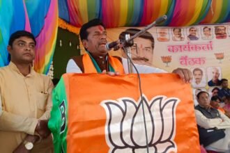 Lok Sabha Elections: पार्टी और कार्यकर्ताओं के लिए सदा तत्परता से रहूंगा तैयार-कुशवाह