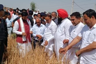 Haryana News: मुख्यमंत्री नायब सैनी ने सुना किसानों का दर्द, ओलावृष्टि से खराब फसलों का लिया जायजा