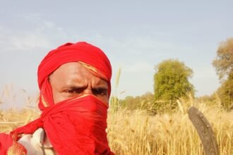 Chitrakoot Kisan: अन्नदाता करता है खून पसीने की मेहनत, अढतिया खा रहे किसान का पैसा