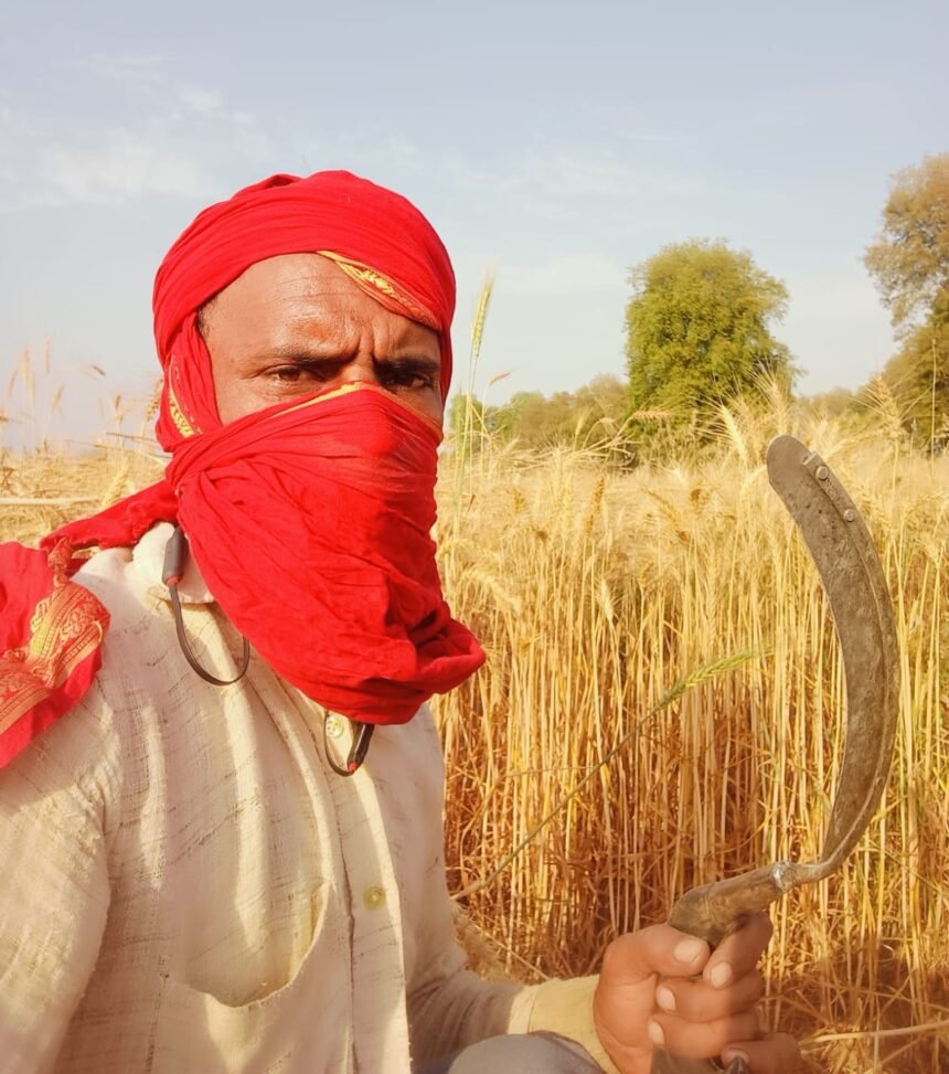 Chitrakoot Kisan: अन्नदाता करता है खून पसीने की मेहनत, अढतिया खा रहे किसान का पैसा 1 Chitrakoot Kisan: अन्नदाता करता है खून पसीने की मेहनत, अढतिया खा रहे किसान का पैसा