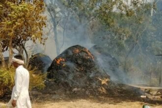 Short Circuit Fire: कृषि की हाइट टेंशन लाइन से गिरी चिंगारी ने लिया भयकर आग का रूप