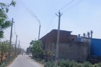 Rice Mill Pollution: राइस मिल उगल रहे 'मौत' की हवा, अफसरों की खामोशी से कहीं थम न जाए सांसें