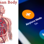 Human Body में भी होता है ‘फ्लाइट मोड’