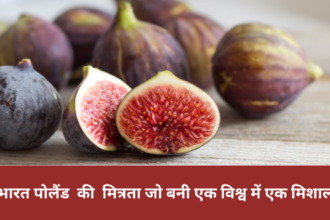 Fig Export: भारत ने पोलैंड के साथ बड़ाई व्यापार की मित्रता, जो बनी एक विश्व में एक मिशाल