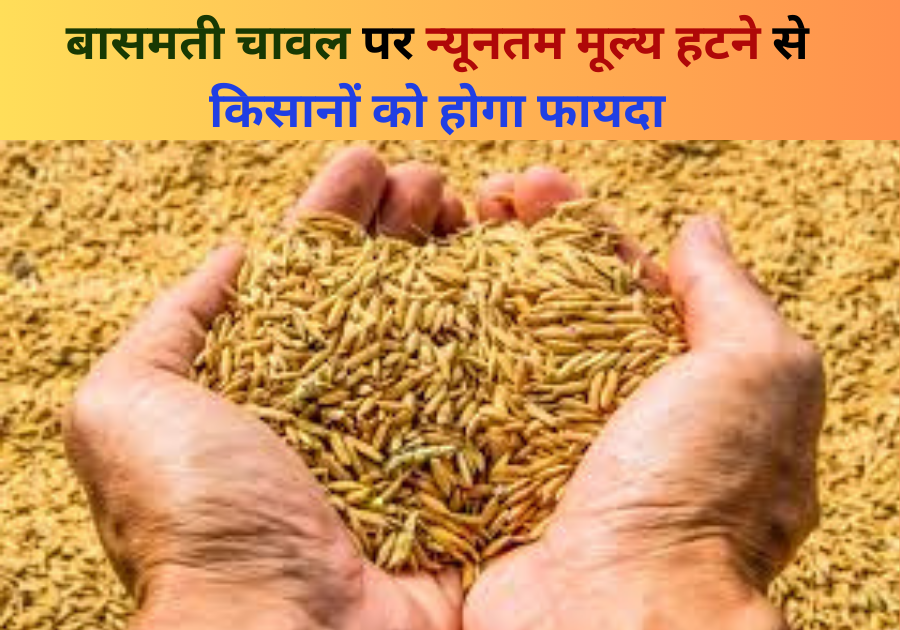 Basmati Rice
