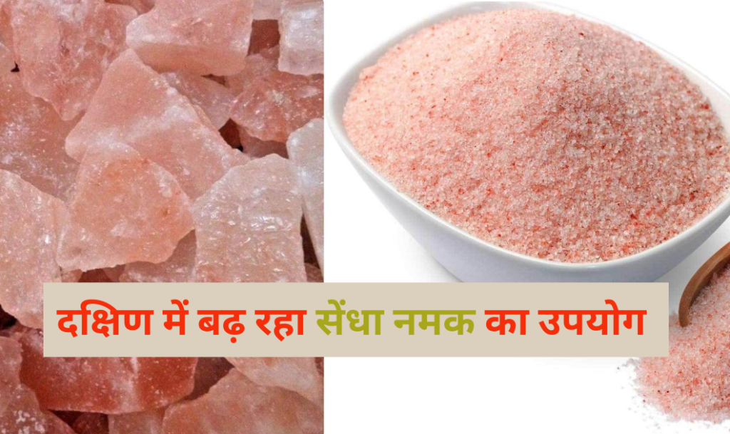 Iodine Salt : आयोडीन नमक के है भारी नुकसान,  USA और 56 देशों कर चुके बैन