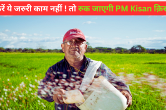 PM Kisan : जिन्होंने नहीं कराई "फार्मर रजिस्ट्री" उन्हें नहीं मिलेगी पीएम किसान किस्त, UP किसान जल्दी करे ये काम