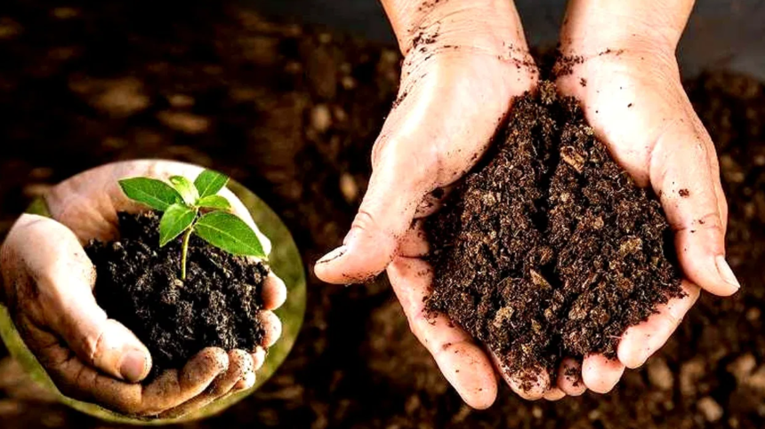 Screenshot 2025 02 11 150130