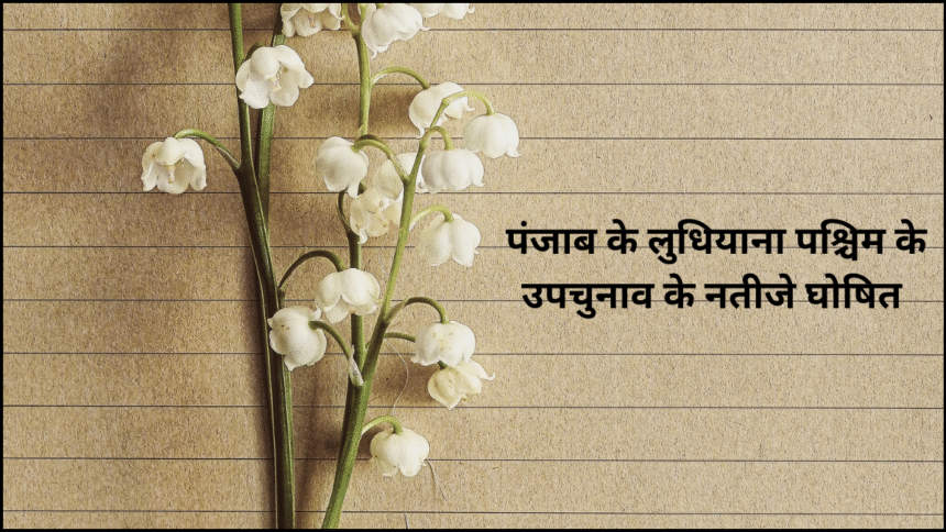 उपचुनाव
