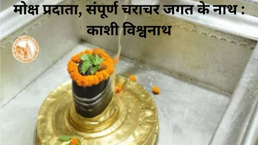 काशी विश्वनाथ